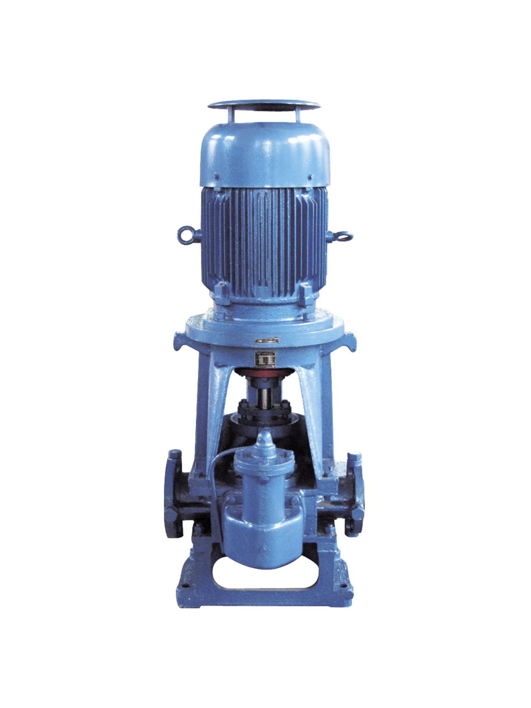 CTP Pumps VG series gear pump — industrial positive displacement gear pump for viscous fluid transfer and lubrication applications