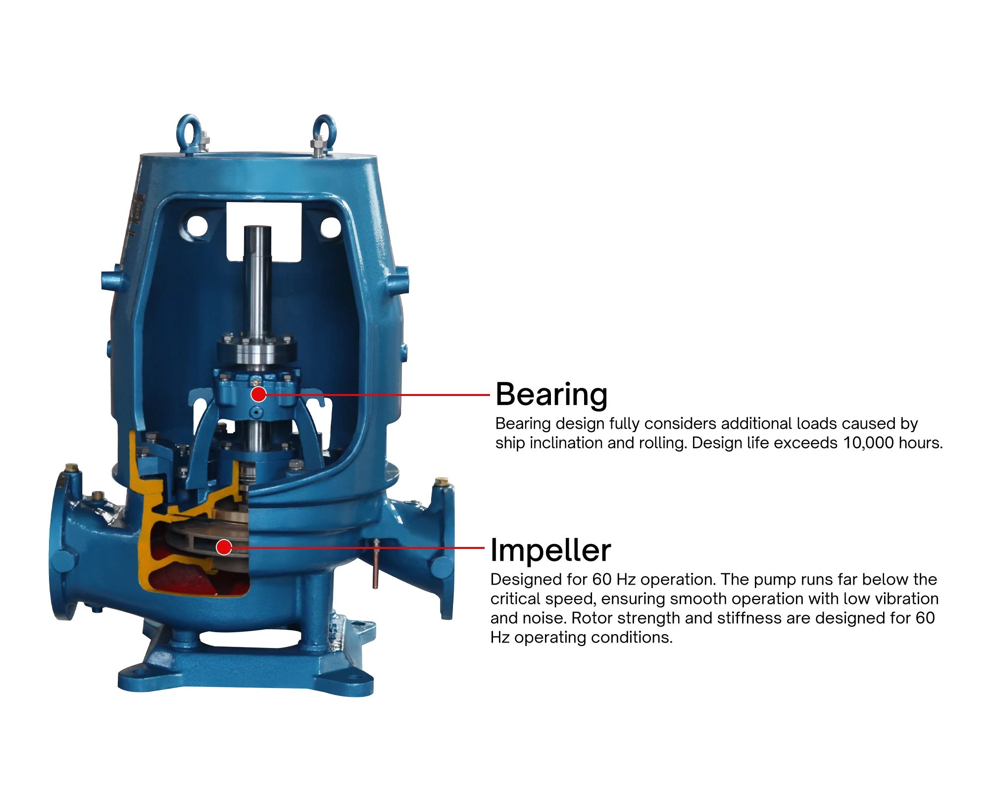 Cutaway view of a CTP marine centrifugal pump showing impeller, casing and shaft seal