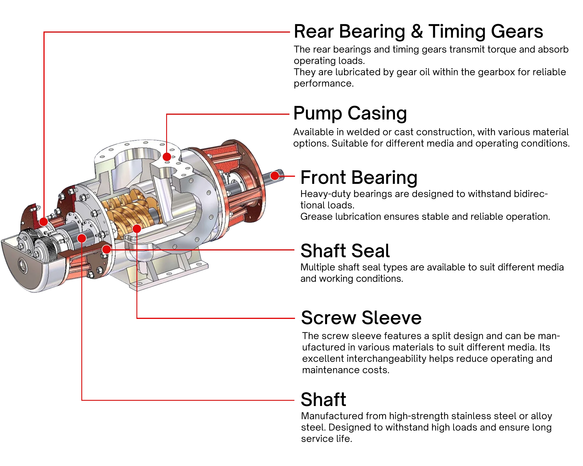 twin screw pump cutaway view ctp